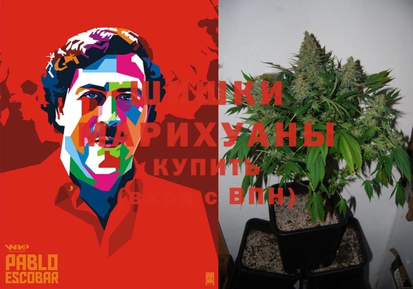 кокс Арсеньев