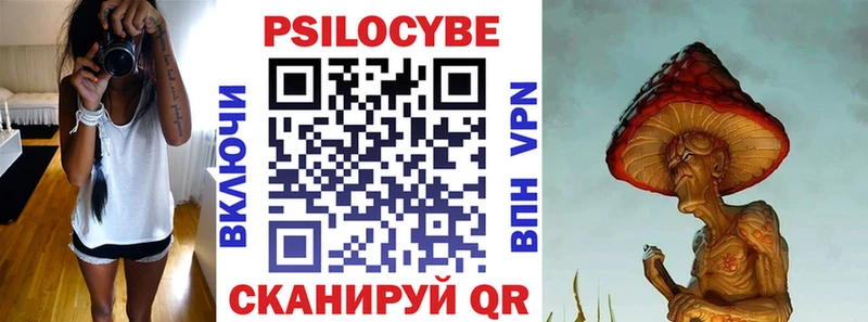Псилоцибиновые грибы Psilocybe  kraken сайт  Зубцов  даркнет клад  купить наркотики цена 